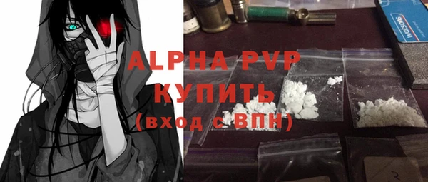 индика Балахна