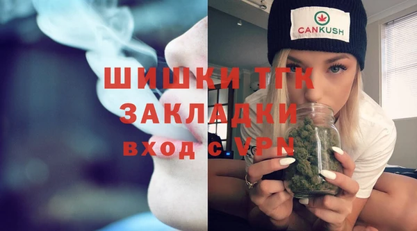 индика Балахна