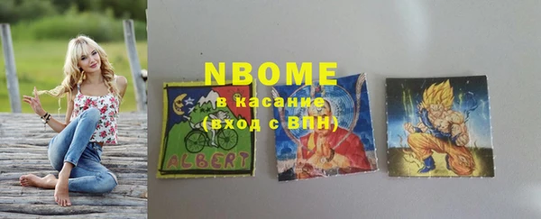 индика Балахна