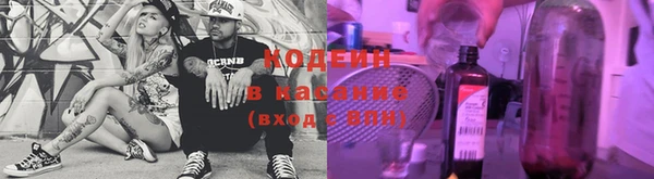 индика Балахна