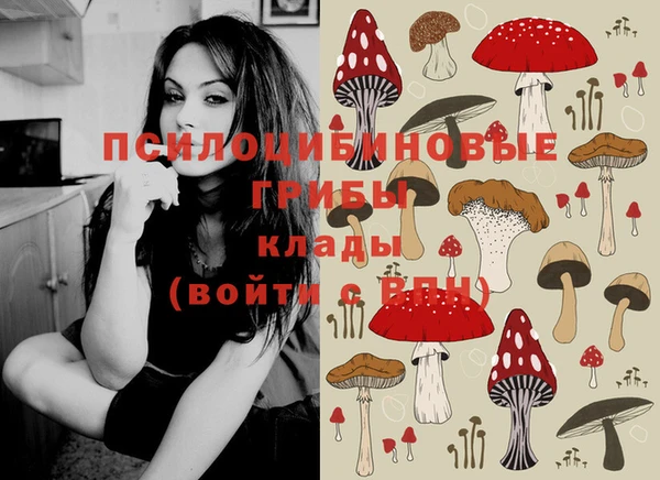 индика Балахна