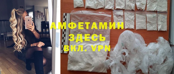 индика Балахна