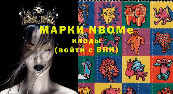 индика Балахна